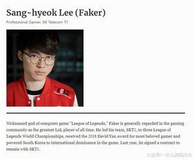 Faker的常见翻译及语境分析