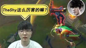 Faker的中文含义及其在不同语境下的解释