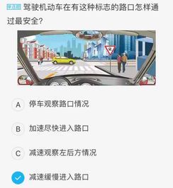 科目四考试全解析