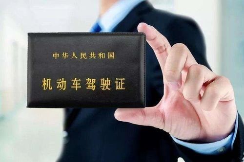 科目四考试全过程视频详解：从预约到拿证的完整指南