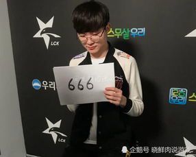Faker库中文翻译指南