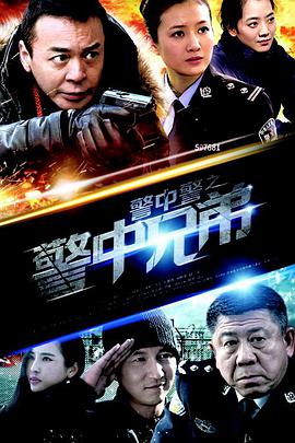 警中警之警中兄弟电视剧全25集