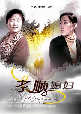 孝顺媳妇电影HD国语版