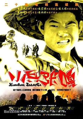 小兵张嘎2004电视剧全20集
