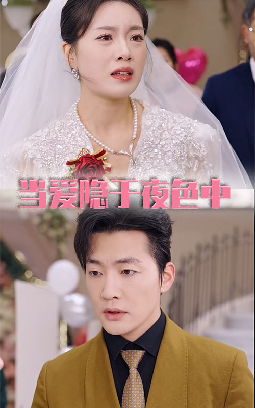 当爱隐于夜色中短剧全36集