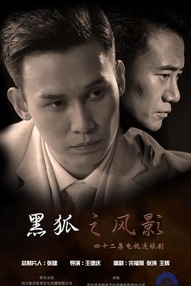 黑狐之风影电视剧全42集
