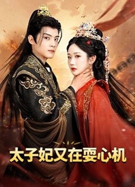 太子妃又在耍心机 人家才不是坏女人短剧全80集