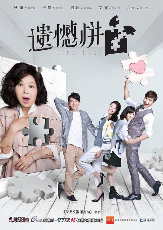 遗憾拼图电视剧全15集