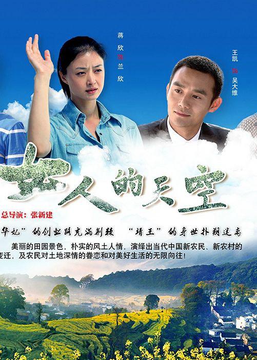 女人的天空电视剧全30集