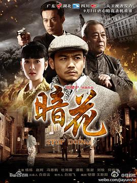 暗花[电视剧版]电视剧全36集