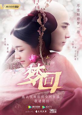 梦回电视剧全40集