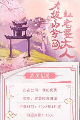 力拔山兮的老婆大人电视剧全24集