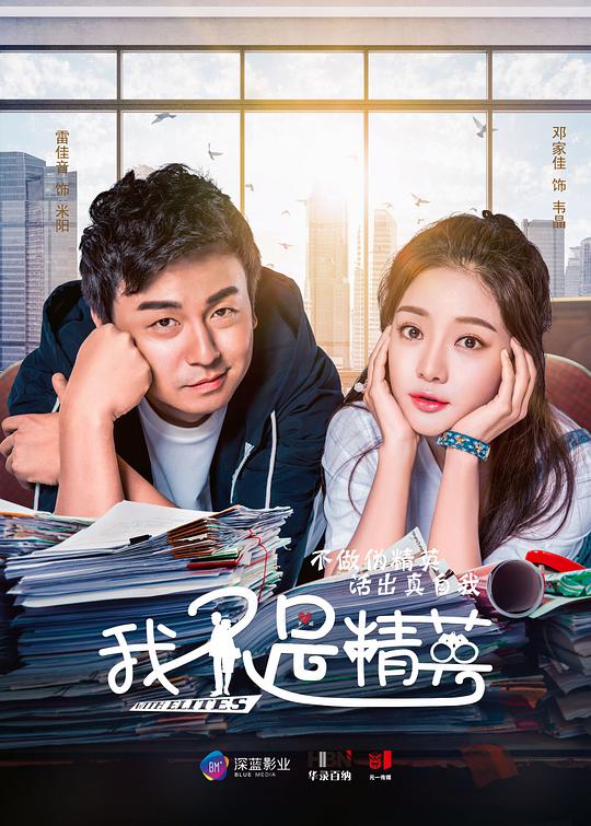 我不是精英网络版电视剧全40集