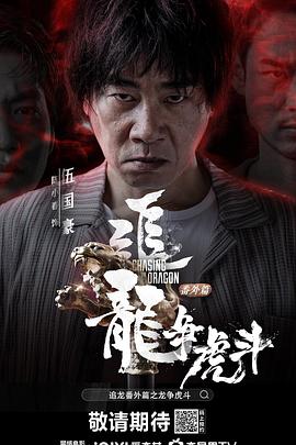 追龙番外篇之龙争虎斗电影HD国语|粤语