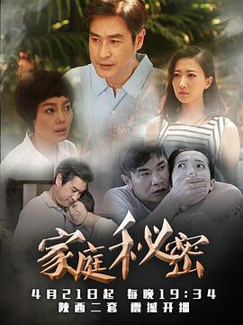 家庭秘密电视剧48集全