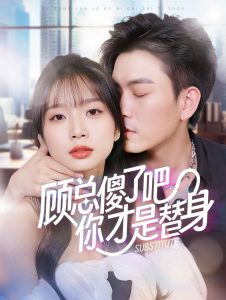 顾总傻了吧你才是替身短剧全80集