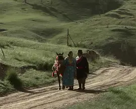 情人湖电影正片