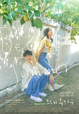 那年,我们的夏天电视剧全16集