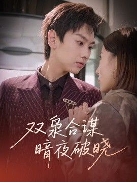 双枭合谋暗夜破晓短剧全30集