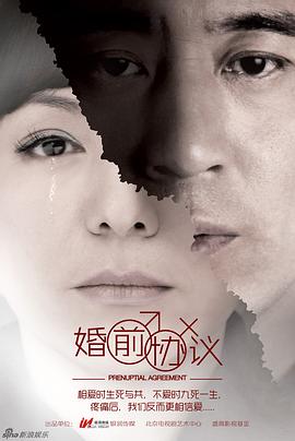 婚前协议电视剧全40集
