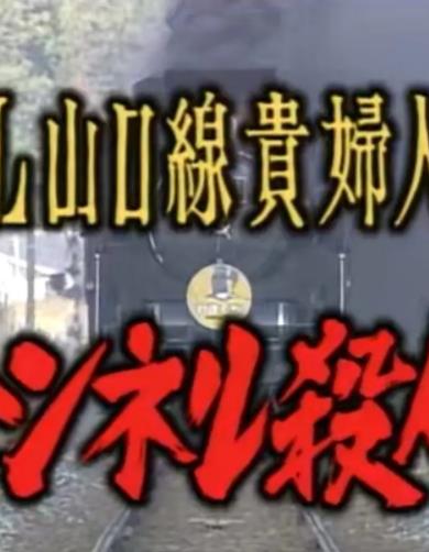 SL山口线贵妇人号隧道杀人电影HD中字