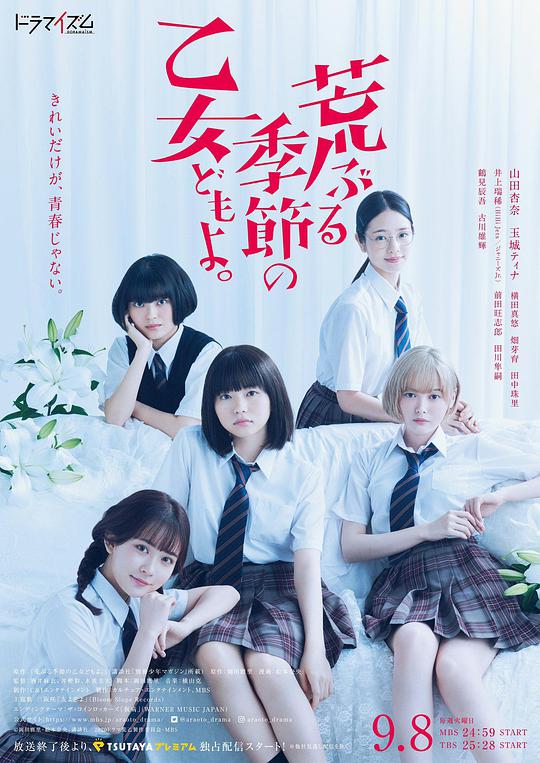 骚动时节的少女们啊电视剧全8集