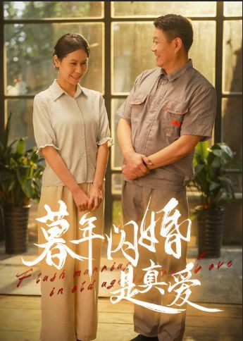 暮年闪婚是真爱短剧全36集