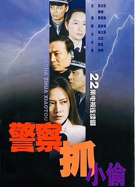 警察抓小偷电视剧全22集