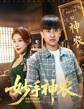 妙手神农短剧全70集