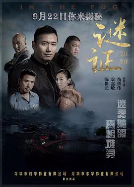 谜证电影正片