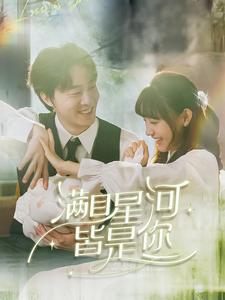 满目星河皆是你短剧全80集