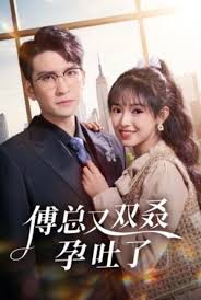 傅总又双叒孕吐了短剧全53集