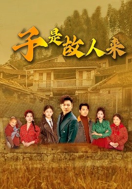 子是故人来短剧全65集