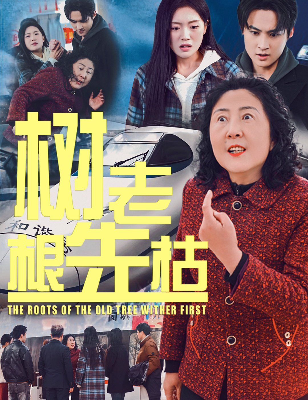 树老根先枯短剧全33集